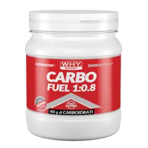 Carbo Fuel 1:0.8 615g | Polvere Energetica con Maltodestrine + Fruttosio WHYsport