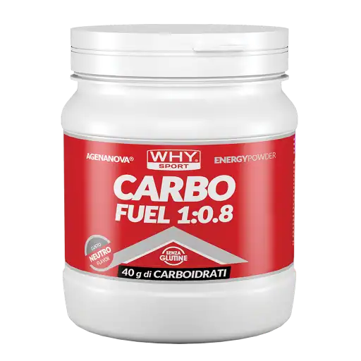 Carbo Fuel 1:0.8 615g | Polvere Energetica con Maltodestrine + Fruttosio WHYsport